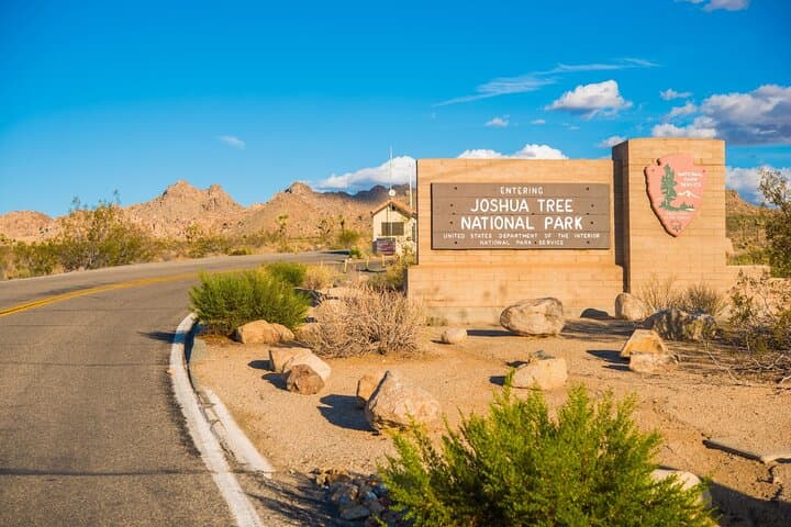 Joshua Tree Hidden Valley Self-Guided Audio Tour — Explore the 1-Mile Loop photo 6
