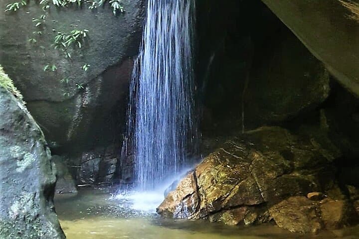 Tijuca Forest Caves & Falls Tour — Rainforest Hike to Caves and Waterfalls in Rio photo 5