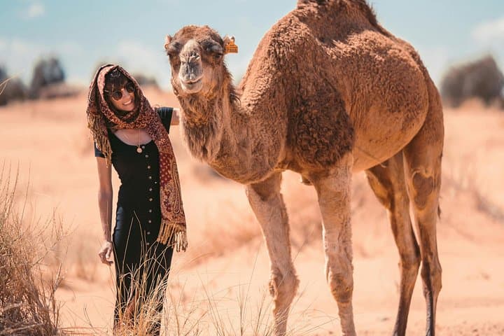 3-Day Sahara Desert Tour from Fes to Marrakech — Camel Trek & Erg Chebbi Dunes photo 4