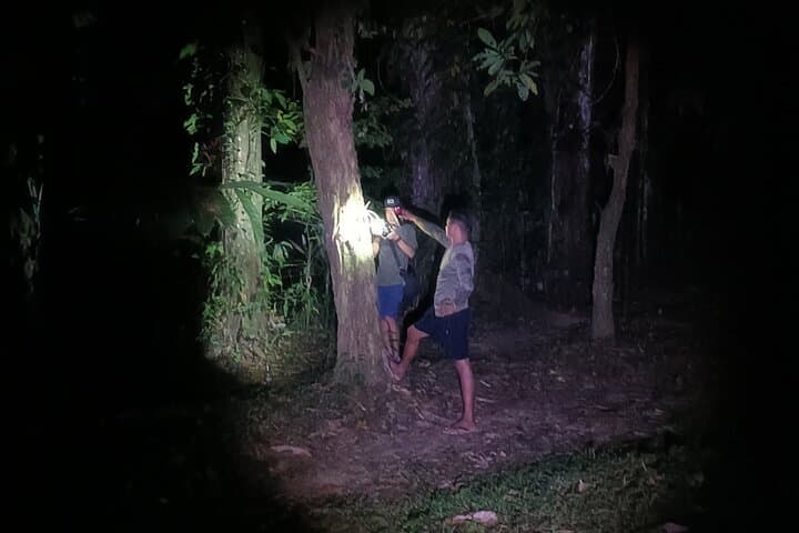 Night Wildlife Walk in Costa Rica's Wild Talamanca Rainforest photo 5