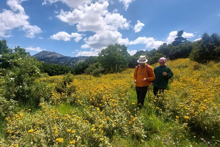 Hippokrene Hike: Trekking to Mount Helikon’s Sacred Spring photo 3