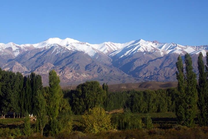 Andes High Mountain Tour from Mendoza: Puente del Inca and Aconcagua Lookout photo 6