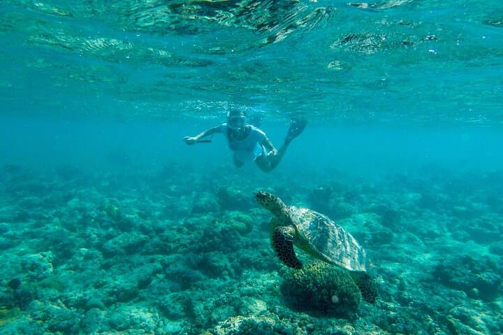 Akumal Snorkeling & Hidden Cenote: Private Reef and Underground River Adventure photo 3