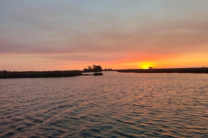 Ria de Aveiro Highlights: Guided Boat Tour Through Portugal’s Coastal Lagoon