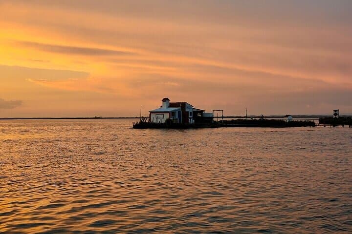 Ria de Aveiro Highlights: Guided Boat Tour Through Portugal’s Coastal Lagoon photo 2