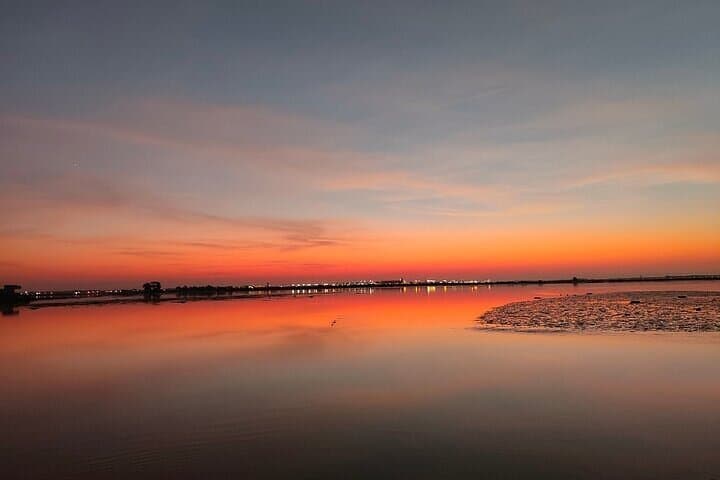 Ria de Aveiro Highlights: Guided Boat Tour Through Portugal’s Coastal Lagoon photo 5