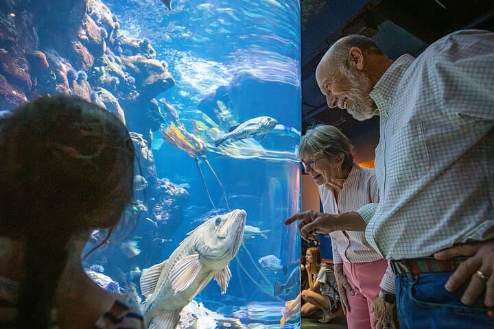 Inside the California Academy of Sciences: Aquarium, Rainforest & Planetarium in Golden Gate Park photo 4