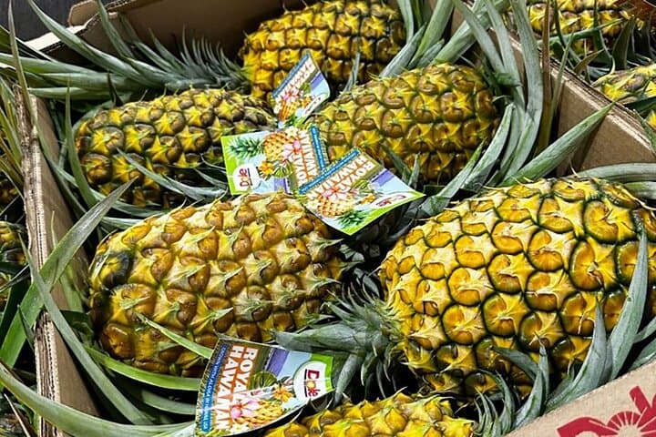 North Shore Dole Pineapple Farm Tour — Taste Oahu's Pineapple History photo 5