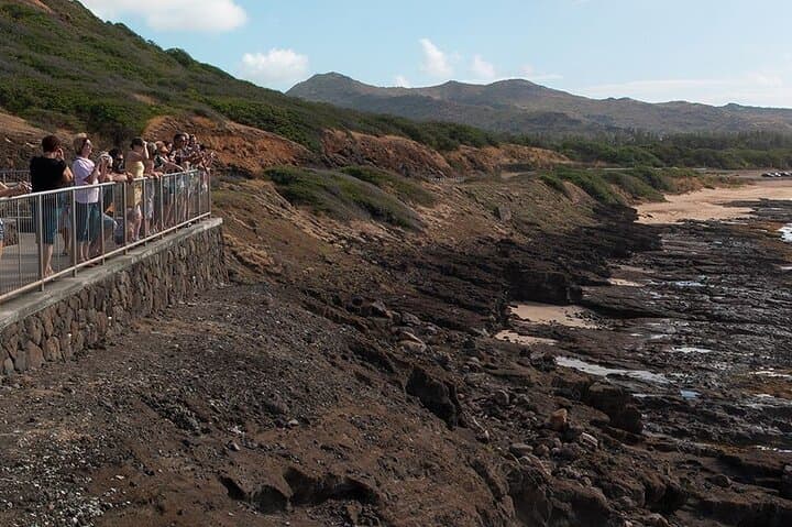 Oahu Grand Circle Island Tour: Full-Day Scenic, Cultural & Surf Highlights photo 4
