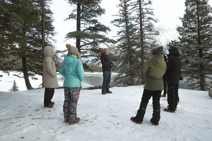 Private Forest Bathing in Banff: Guided Shinrin-Yoku Experience photo 6
