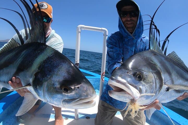 Roosterfish on the Fly: La Paz Fly-Fishing Charter for Trophy Roosterfish