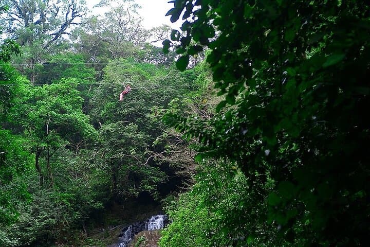 Introductory Zipline Over Río Indio — 30-Minute Canopy Trial in El Valle de Antón photo 5