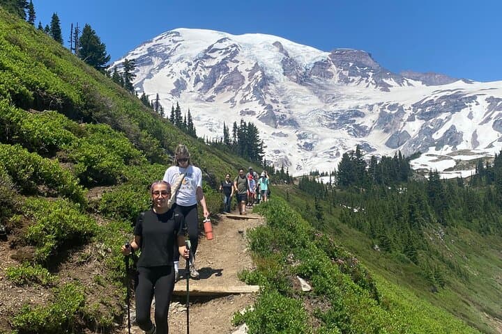 Seattle to Mt. Rainier Private Day Tour — Paradise, Reflection Lakes & Waterfalls
