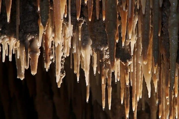 Mulwaree Cave Guided Tour — Wombeyan Caves NSW (1‑Hour Limestone Exploration) photo 3