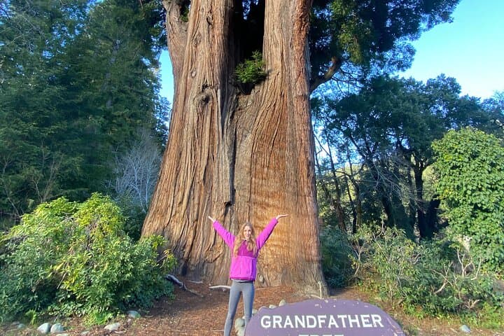 Pacific Coast Road Trip: San Francisco to Seattle — Redwoods, Coast & Wildlife photo 2
