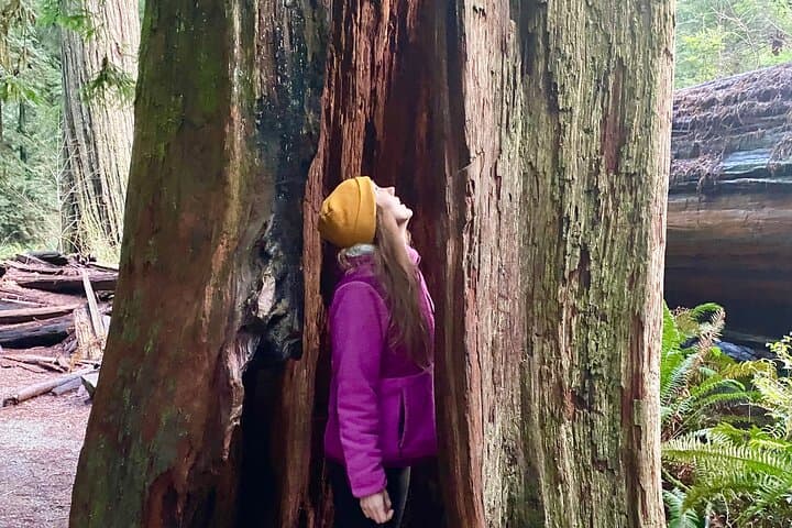 Pacific Coast Road Trip: San Francisco to Seattle — Redwoods, Coast & Wildlife photo 3