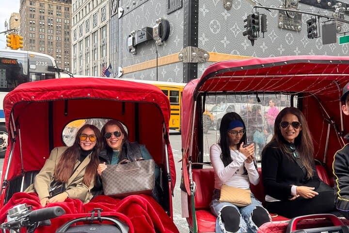 Pedicab Highlights Tour of New York City — Private Ride, Photo Stops & Icons