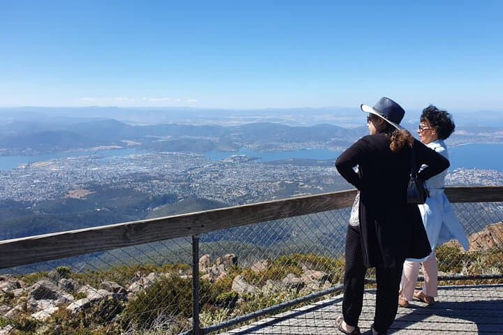 Mount Wellington Pinnacle Small-Group Tour — 2-Hour Hobart Summit Experience photo 3
