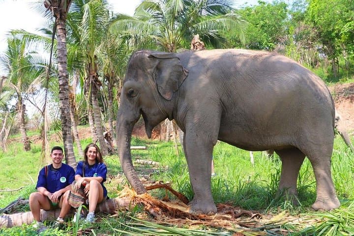 Ethical Elephant Encounter at Living Green Sanctuary — Day Tour from Bangkok & Pattaya
