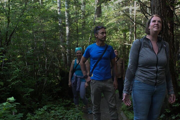 Mindfulness in Tongass: Guided Wilderness Meditation & Mendenhall Glacier Views photo 4
