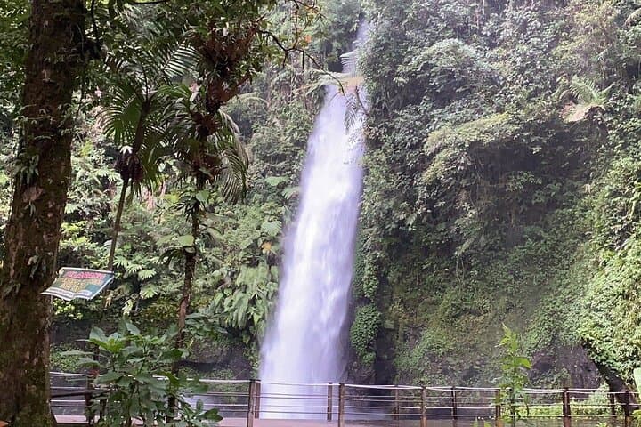 Jakarta Rainforest Hike: Suspension Bridge, Twin Waterfalls & Situ Gunung Lake photo 4