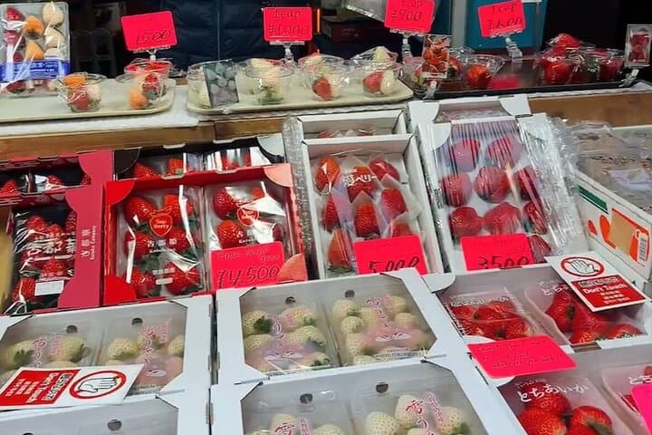Tsukiji Food Stroll & Hama-rikyu Garden Walking Tour — Tokyo Food and History photo 4