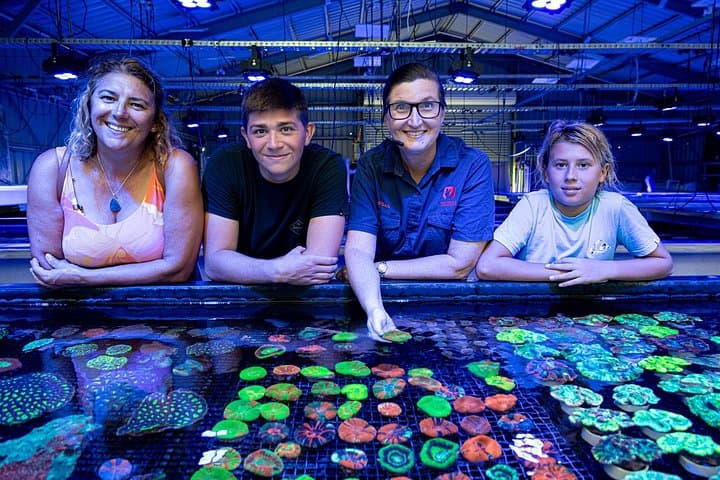 Inside Bundaberg's Coral Farm: One-Hour Tour of Australia's Largest Coral Nursery