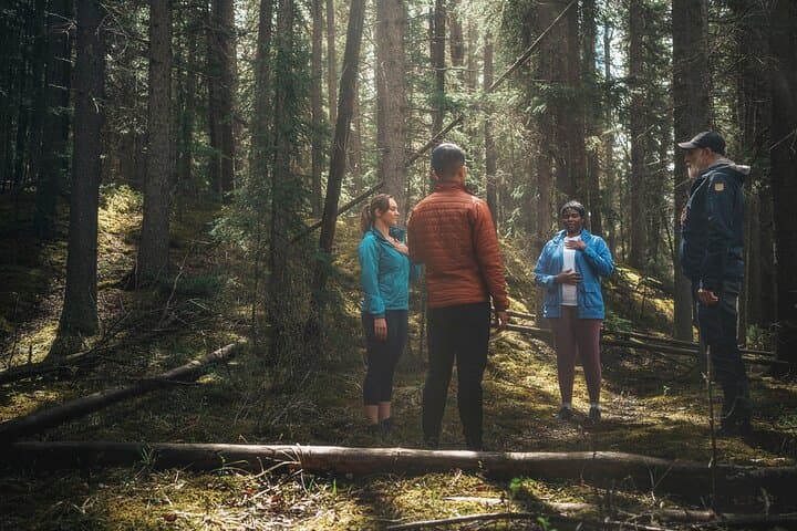 Private Forest Bathing in Banff: Guided Shinrin-Yoku Experience