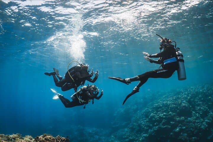 Discover Scuba Diving in Waikiki: PADI Beginner Dive with Uncle Kimo’s