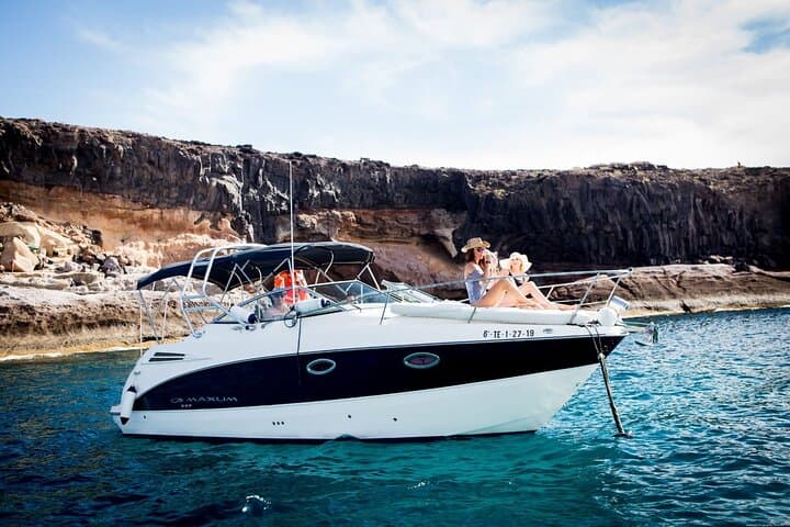 Tenerife Luxury Whale & Dolphin Boat Trip — Southern Coast Wildlife Cruise