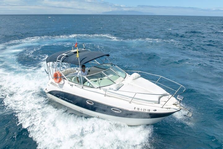 Tenerife Luxury Whale & Dolphin Boat Trip — Southern Coast Wildlife Cruise photo 2