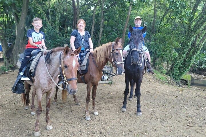 Roatán Horseback Riding, City Walk & West Bay Beach Club — Private 5–6 Hour Tour photo 4