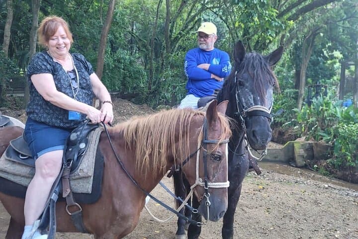 Roatán Horseback Riding, City Walk & West Bay Beach Club — Private 5–6 Hour Tour photo 5