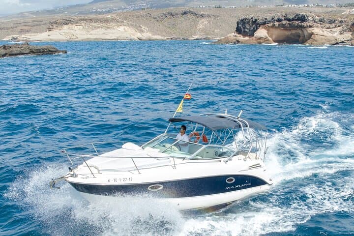 Tenerife Luxury Whale & Dolphin Boat Trip — Southern Coast Wildlife Cruise photo 4