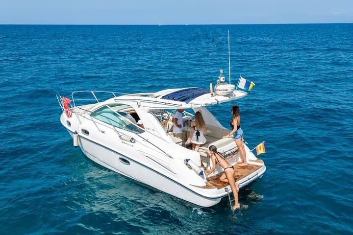Tenerife Luxury Whale & Dolphin Boat Trip — Southern Coast Wildlife Cruise photo 5