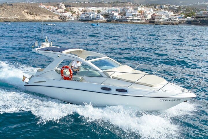 Tenerife Luxury Whale & Dolphin Boat Trip — Southern Coast Wildlife Cruise photo 6