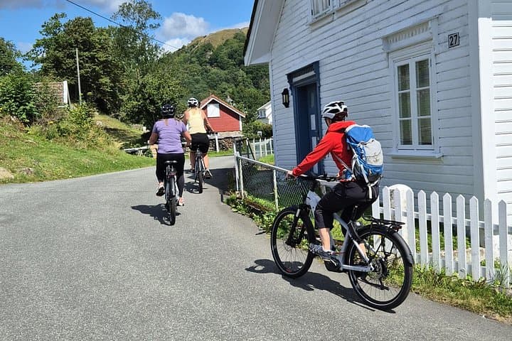 E-Bike Hidra Island: Electric Bike Exploration from Flekkefjord photo 2