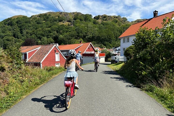 E-Bike Hidra Island: Electric Bike Exploration from Flekkefjord photo 3