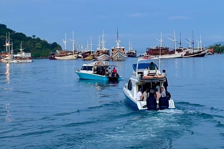 Early Bird Komodo Speedboat Tour — Padar, Pink Beach, Komodo & Manta Snorkel