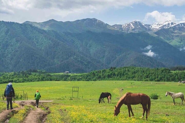 Tusheti Self-Guided Walking Tour: 7-Day Omalo to Dartlo Hike in Georgia photo 2