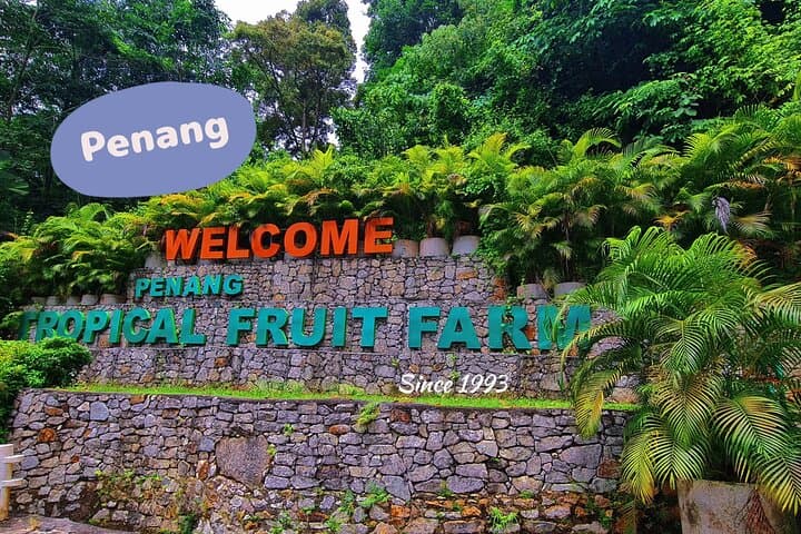 Penang Half-Day: George Town Heritage Tour & Tropical Fruit Farm Visit