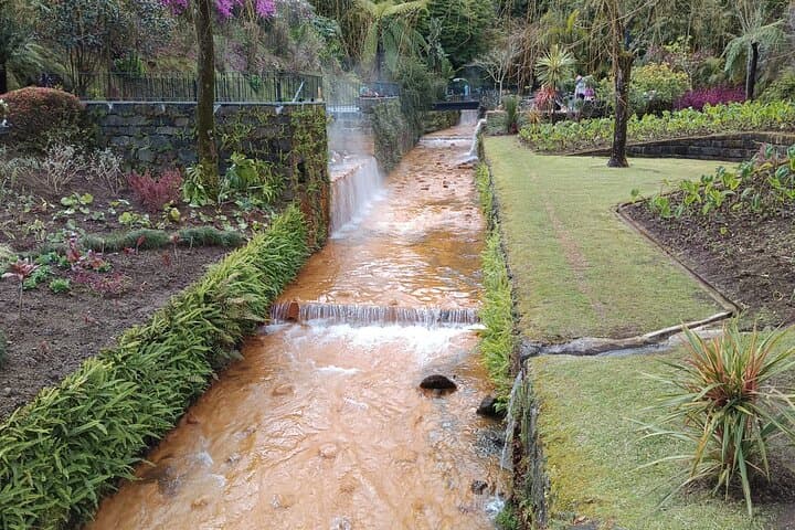 São Miguel Vulcanic Experience in Furnas — Thermal Baths, Fumaroles & Tea photo 4