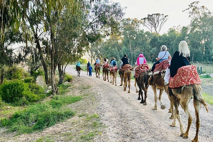 Sunset Camel Ride in Agadir: Dunes, Flamingos & Moroccan Barbecue photo 6