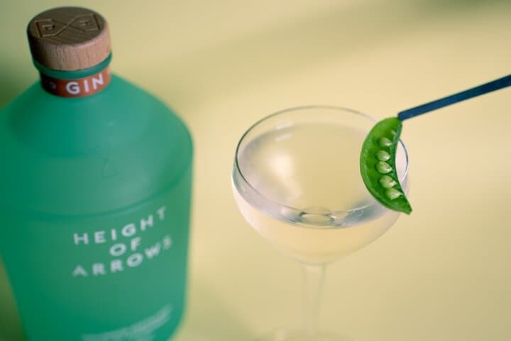 Holyrood Distillery Gin Tasting and Cocktail Workshop in Edinburgh