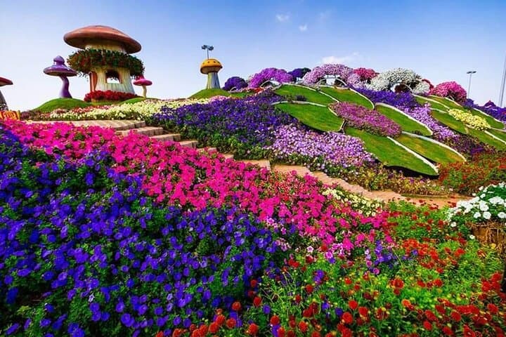 Dubai Miracle Garden: Tickets with Round-Trip Transfer & Visitor Guide photo 5