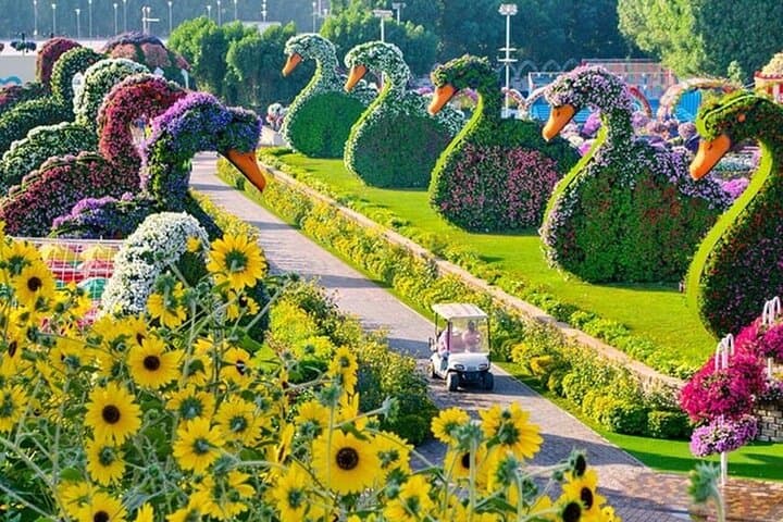 Dubai Miracle Garden: Tickets with Round-Trip Transfer & Visitor Guide photo 6