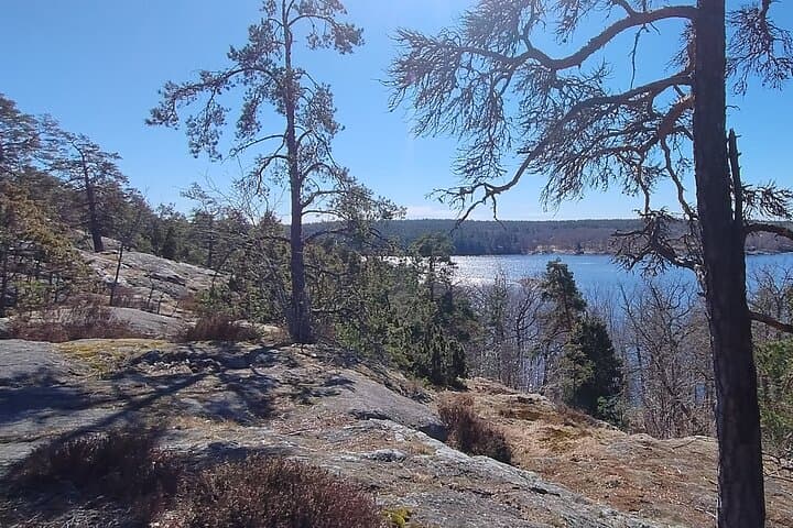 Hellasgården Day Hike — Nackareservet Trails from Stockholm photo 6