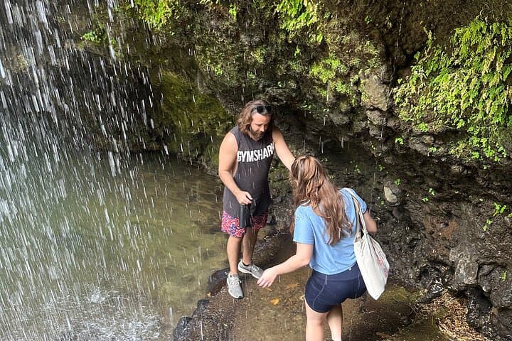 Grenada Spice, Chocolate & Waterfall Day Tour — Grand Etang to Annandale photo 3