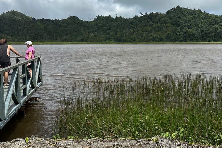 Grenada Spice, Chocolate & Waterfall Day Tour — Grand Etang to Annandale photo 5
