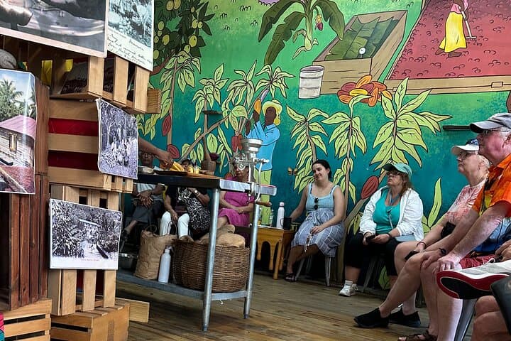 Grenada Spice, Chocolate & Waterfall Day Tour — Grand Etang to Annandale photo 6